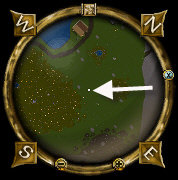 Forest lord champ map.jpg