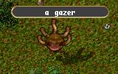 Gazer.jpg