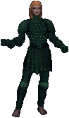 Ranger Armor Set.png