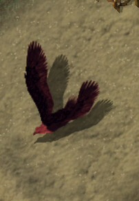 Phoenixkr.jpg