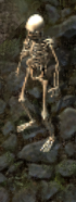 Skeletonkr.png