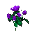 Rose Of Trinsic.png