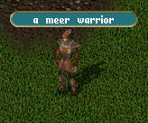 Meer Warrior.jpg