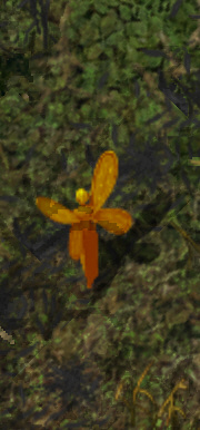 Irkkr.jpg