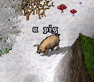 Pig.png
