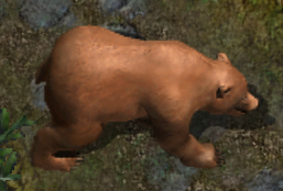Brownbearkr.png