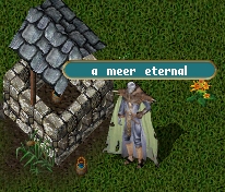 Meer eternal.jpg