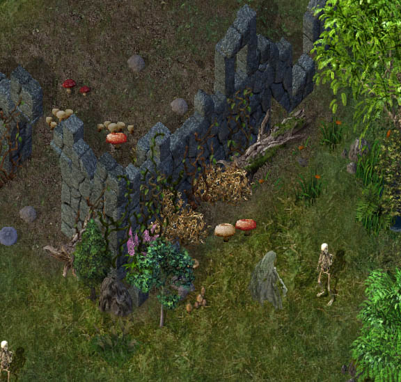 Trinsic jungle ruinkr.jpg