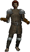 Ringmail Armor.png