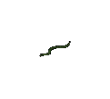 Snake.png