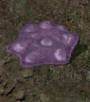 Plague spawn1kr.jpg