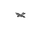 Bird.png
