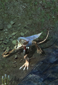 Chiikkaha the toothedkr.jpg