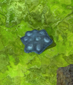 Corrosive slimekr.jpg