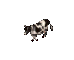 Cow.png