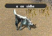 Cu sidhe.jpg
