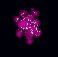 Essence of precision.gif