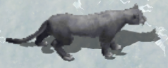 Snow leopardkr.png