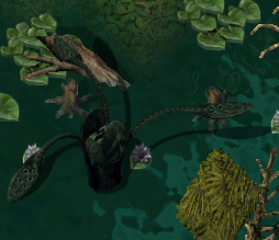 Whippingvinekr.jpg