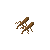 Ginseng.png
