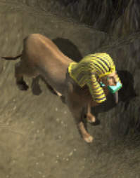 Sphynxkr.jpg