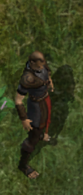 Meer captainkr.png