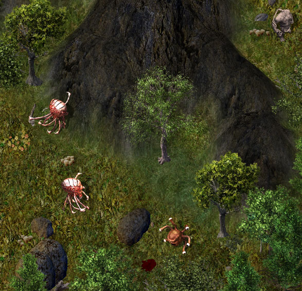 Valor-forestkr.jpg