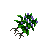Nightshade.png