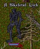 Skeletal lich.jpg