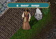 Meer Mage.jpg