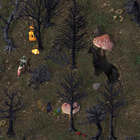 Corrupted forestkr.jpg