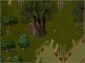 Bet lem reg village 2.jpg