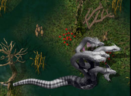 Abscesskr.jpg