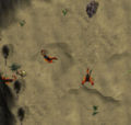 Thumbnail for version as of 17:23, 4 July 2008