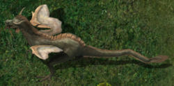 Lesser hiryukr.jpg