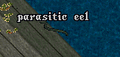 Parasitic eel.png
