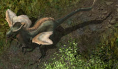 Hiryukr.jpg
