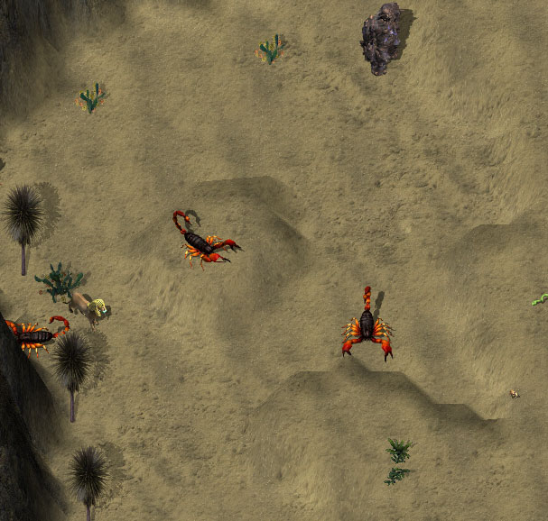 Desert_of_compassionkr.jpg