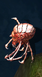 Gazer larvakr.png