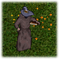 Guide mage.png